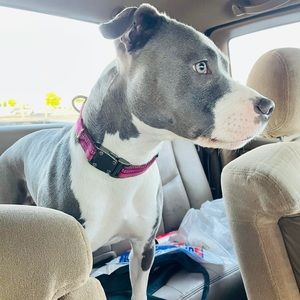 Meet your Posher, Brittany